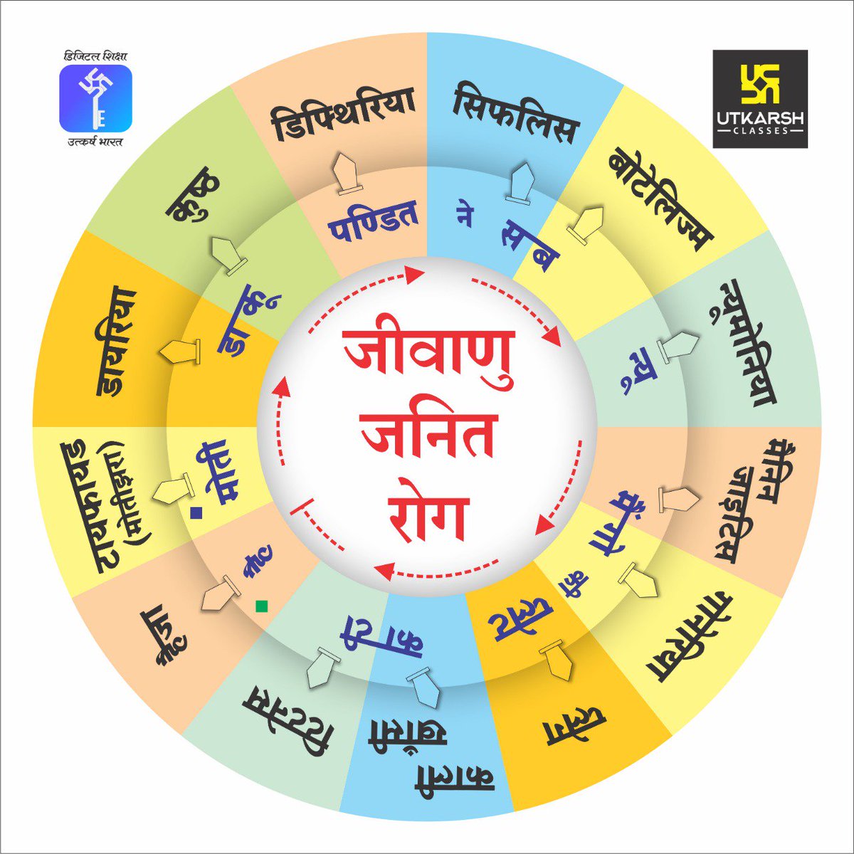 Vitamin D (and the Importance of Nailing Your Dose) – FullWell, image size:1200x1200