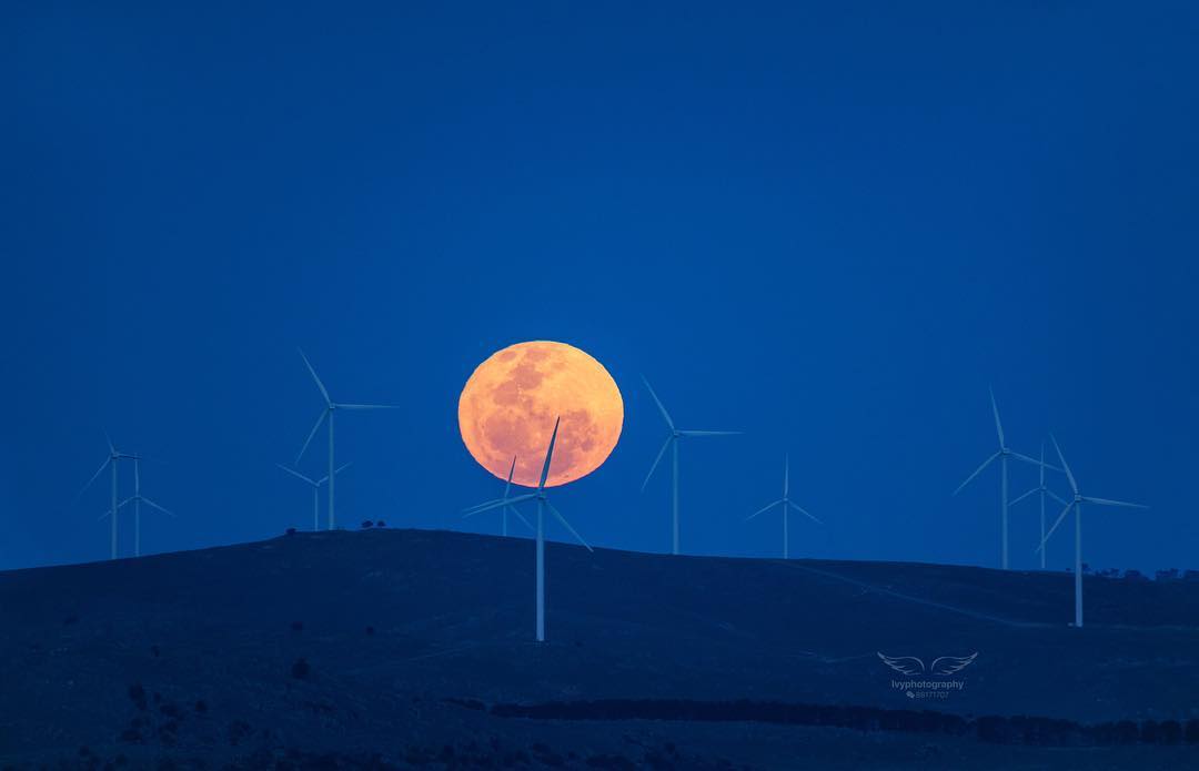 If the Canberra region had a scorecard in scientific progress we reckon it would be straight A's. From helping broadcast the moon landing 50 years ago to renewable energy technology today, snapped here by topkidz_canberra, our territory is leading the way. #WeAreCBR