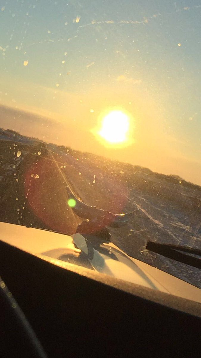 Wush_Matt's tweet photo. Throw back to the cow trucking days. Sure was some great times. #peterbilt #cowmobiling https://t.co/HoOrJtONKR