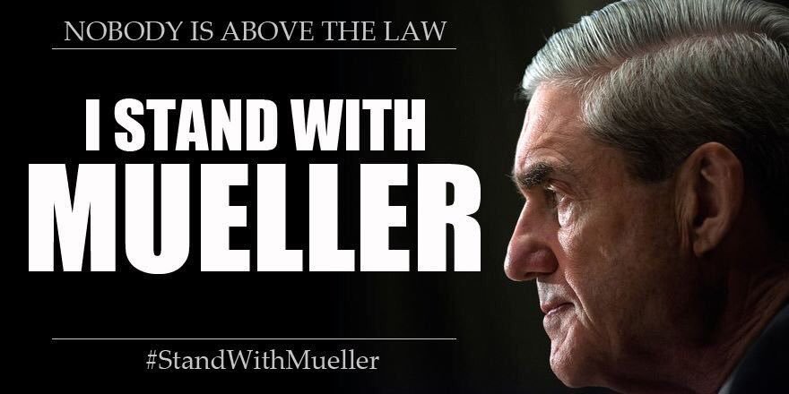 d101allen's tweet photo. @realDonaldTrump @seanhannity #TaxFraud #FakeFink #Looser #TrumpsTerrifiedOfMueller #TrumpCrimeFamily #TrumpRussia We NEED A REAL PRES. That CARES about ALL AMERICANS Not just racist biggots! @SenSchumer @dscc @SpeakerPelosi @HouseDemocrats @TheDemocrats https://t.co/fvrmOsGIbd