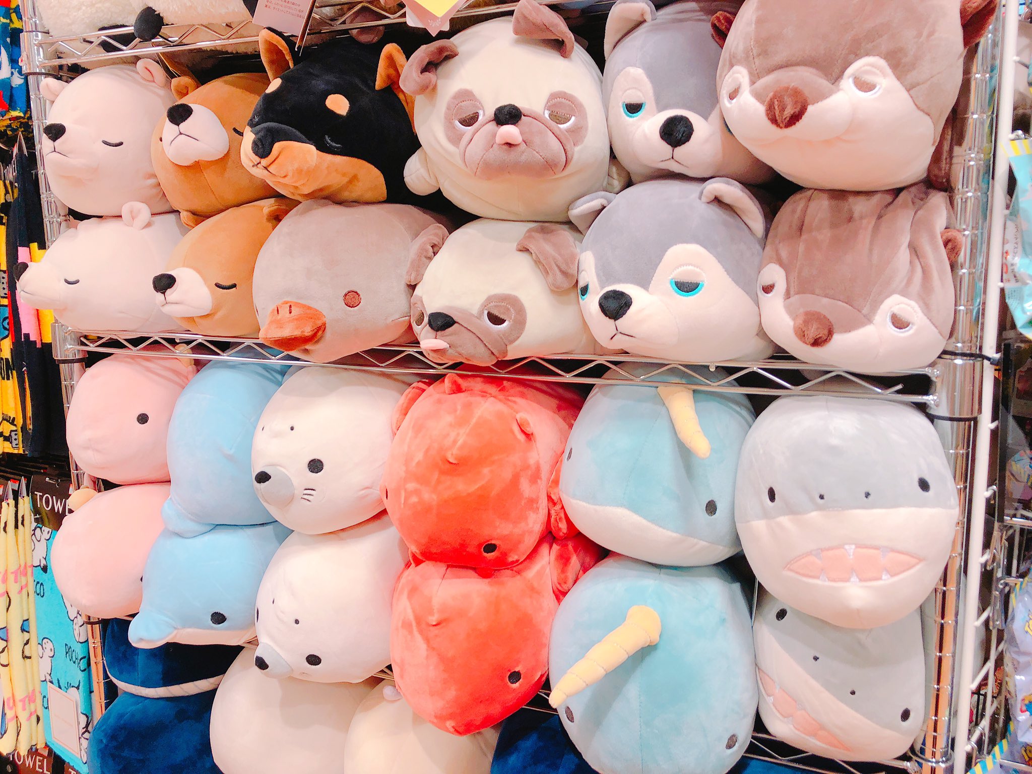 ヴィレッジヴァンガード仙台ロフト店 マシュマロアニマルボルスター 人気のぬいぐるみにロブスターが仲間入りしました まるっとしたフォルムと心地よい肌触り おすすめはウミウシです ぬいぐるみ 海の生き物 癒しグッズ ヴィレッジヴァンガード仙台ロフト店 マシュマロアニマルボルスター 人気のぬいぐるみにロブスターが仲間入りしました まるっとしたフォルムと心地よい肌触り おすすめはウミウシです ぬいぐるみ 海の生き物 癒しグッズ