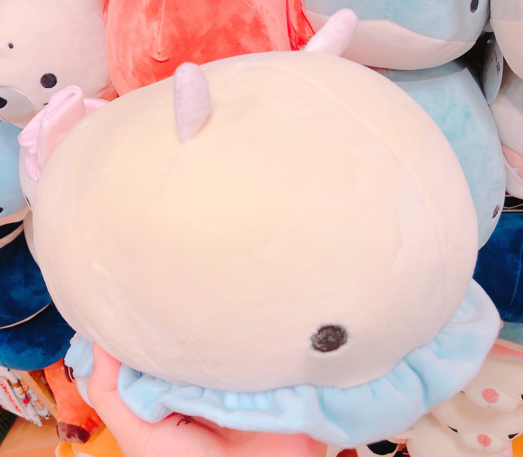 ヴィレッジヴァンガード仙台ロフト店 マシュマロアニマルボルスター 人気のぬいぐるみにロブスターが仲間入りしました まるっとしたフォルムと心地よい肌触り おすすめはウミウシです ぬいぐるみ 海の生き物 癒しグッズ ヴィレッジヴァンガード仙台ロフト店 マシュマロアニマルボルスター 人気のぬいぐるみにロブスターが仲間入りしました まるっとしたフォルムと心地よい肌触り おすすめはウミウシです ぬいぐるみ 海の生き物 癒しグッズ