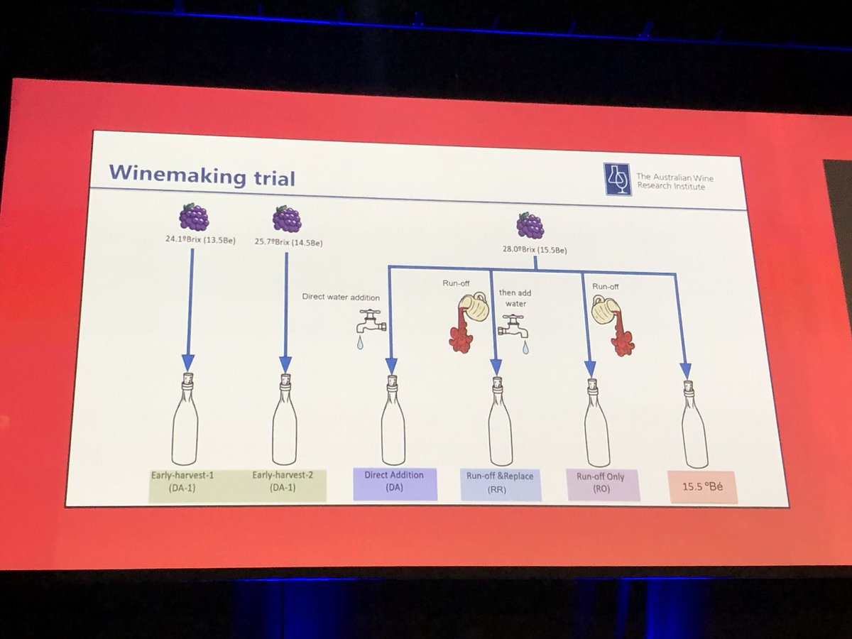 The_AWITC's tweet photo. Details of the winemaking trial of options for dealing with high sugar grapes presented by Dr Keren Bindon @The_AWRI #17AWITC https://t.co/mb1ymmXpSb