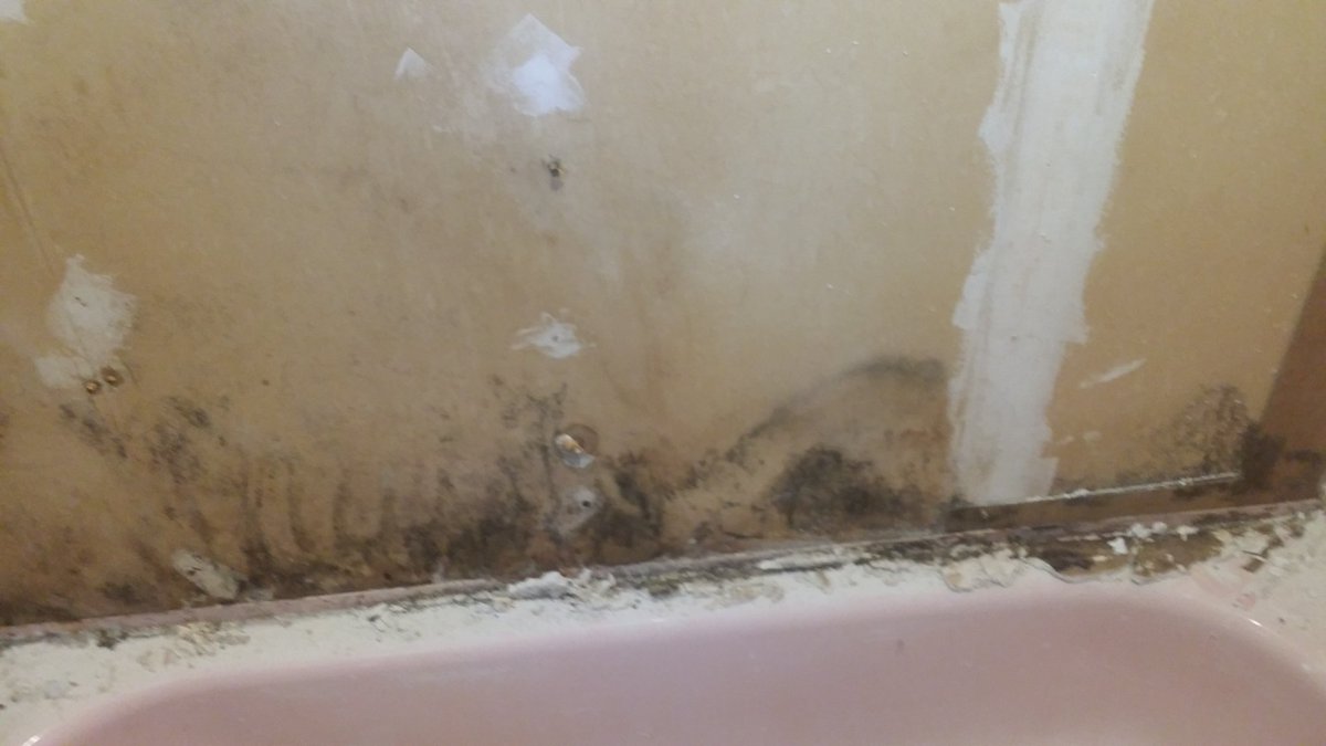 Well today's fun lead to:Grinding the tank to bowl bolts out to replace the sealA flushing toiletBegan removing moldy drywall from around the tub & found a second moldy layer beneath--oh joy!Drywall is now gone and new is mid installDid I mention the toilet & tub are pink?