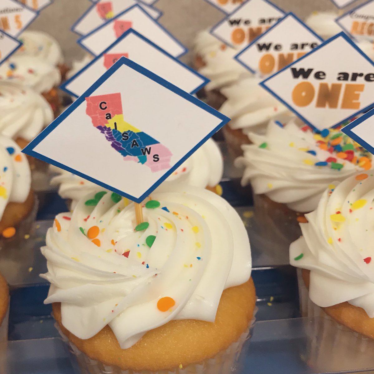 RicarterMiranda's tweet image. It’s days like today that make it all worth it! #CalSAWS #Region5 #RMLife