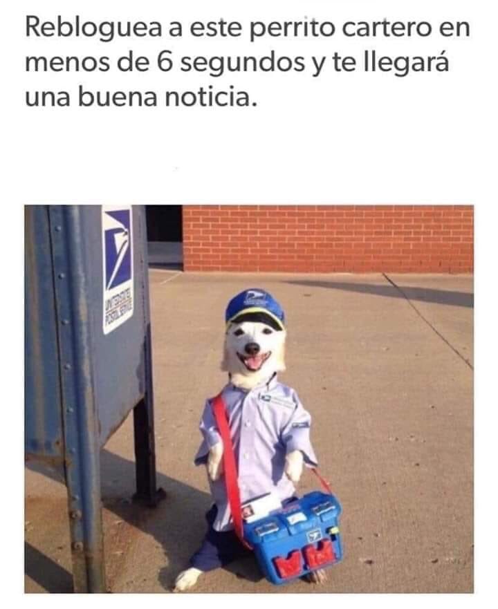 Benshorts (@benshorts) on Twitter photo 