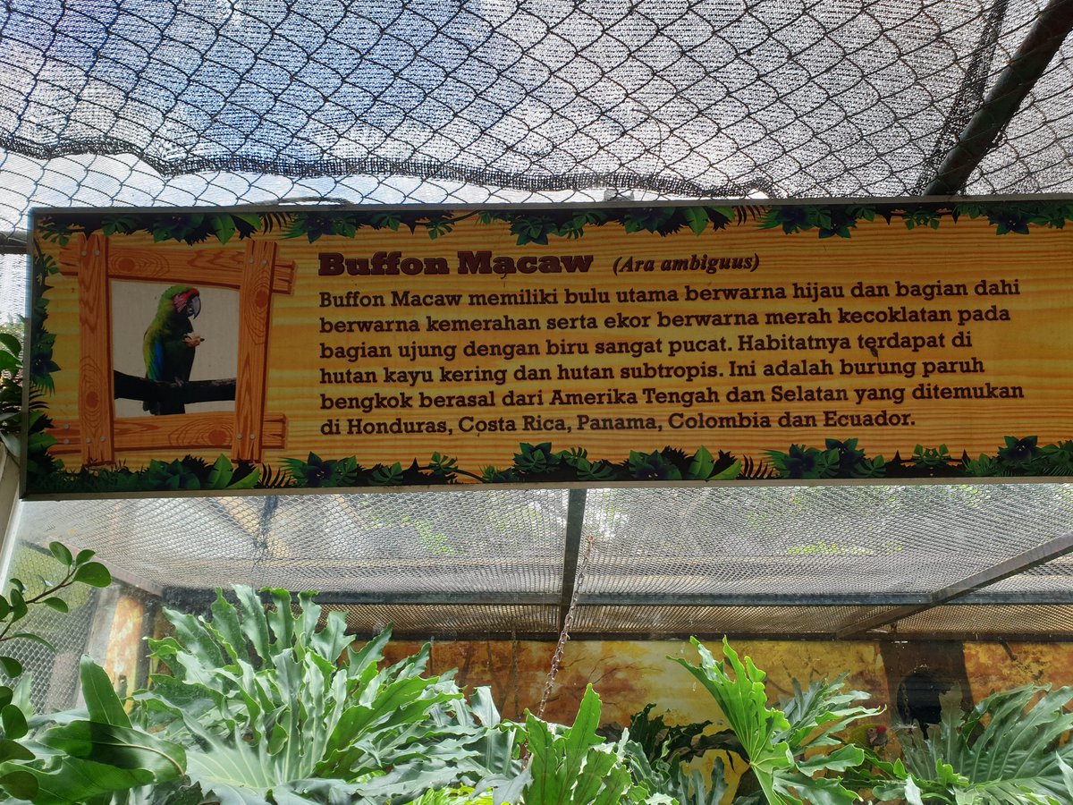 Dave Dwicarta On Twitter Didn T Know Gianluigibuffon Originated