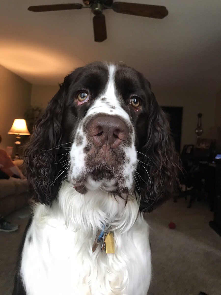 MooreFunFishing's tweet image. 