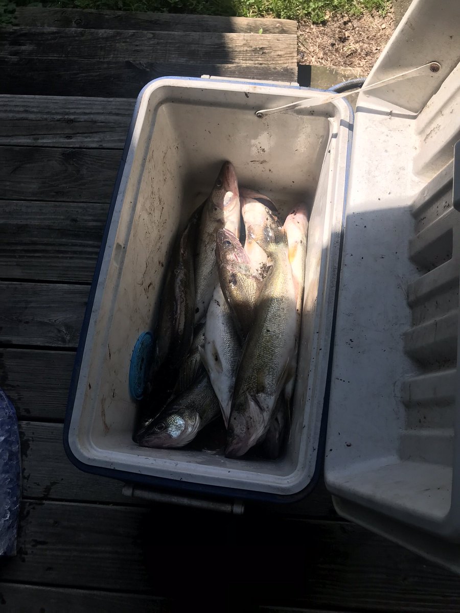 MooreFunFishing's tweet image. 