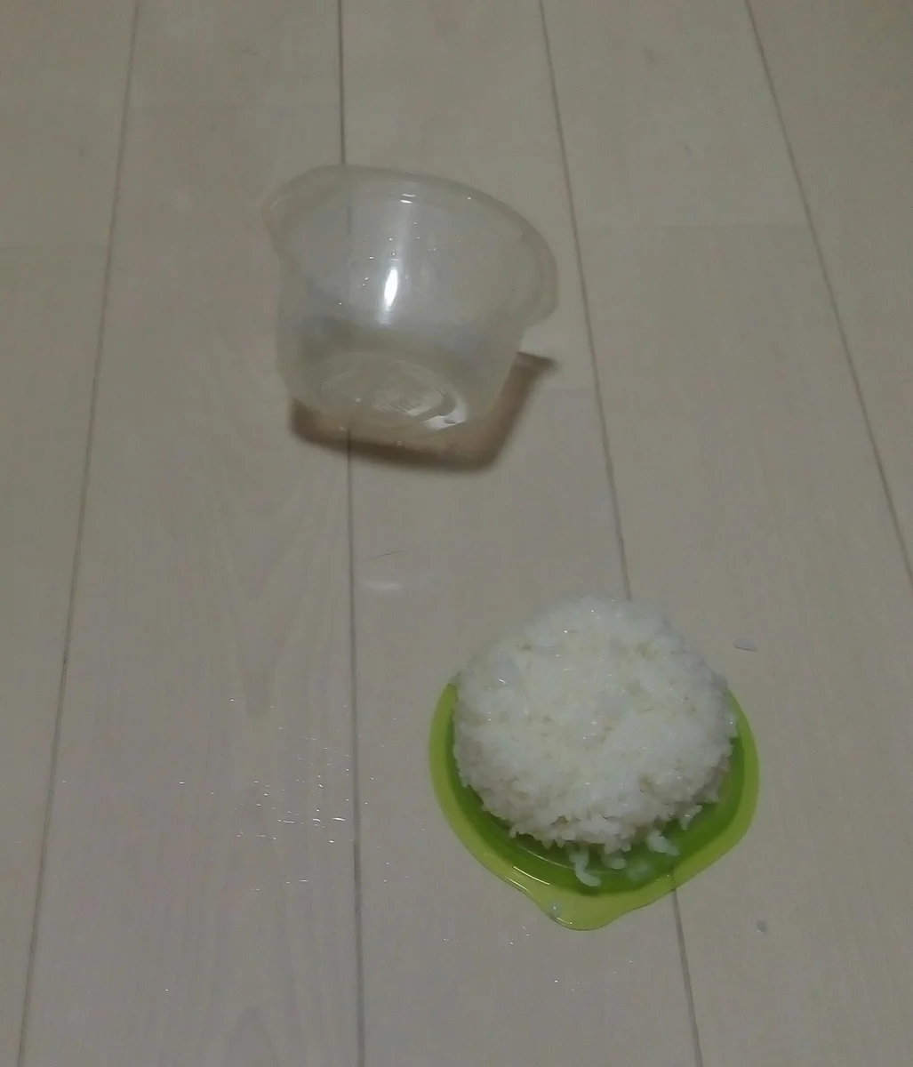 レンチンした直後に落としたご飯…衝撃の結末！