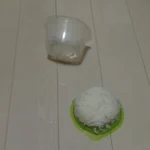 レンチンした直後に落としたご飯…衝撃の結末!