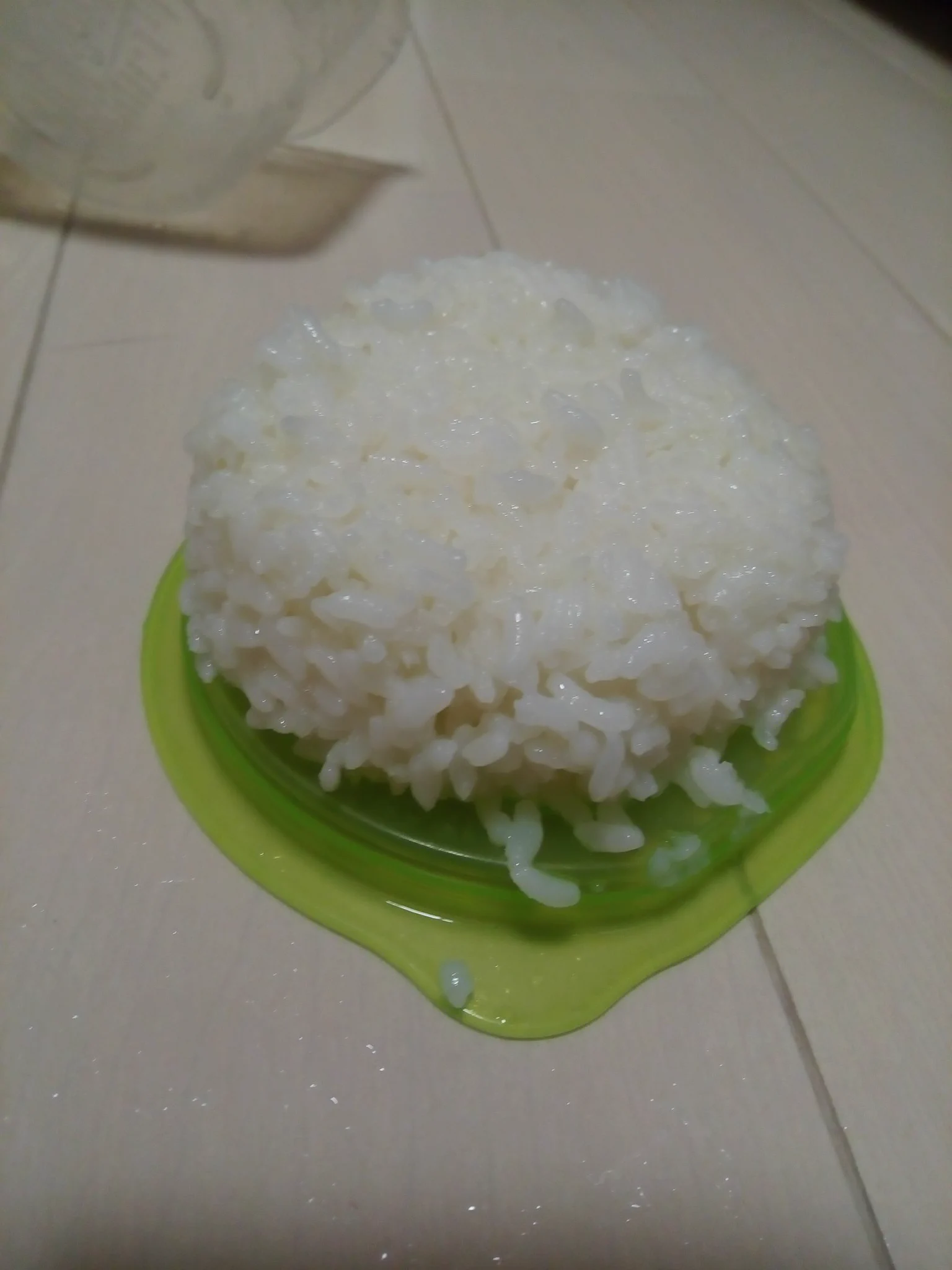レンチンした直後に落としたご飯…衝撃の結末！