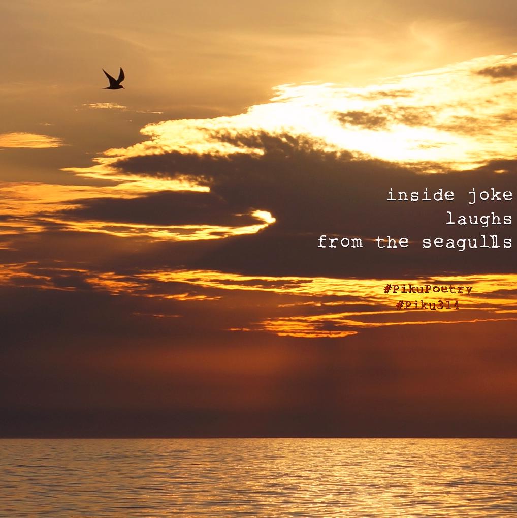 piku_poetry_314's tweet photo. 🥧
.
inside joke
laughs
from the seagulls
.
#vss365 #joke #prompt #laughs #seagulls #dawn #PikuPoetry #Piku314 #PikuVerse #BeatPoetry #VoMoPo #Binkstuff #JustDelmarvalous #shahai314 #haiku #haiga #senryu #shahai #piehai #pie #pi #BeatPoetry #poem #WIP #MOOFpress #poetrycommunity https://t.co/ENtoiGBsQt
