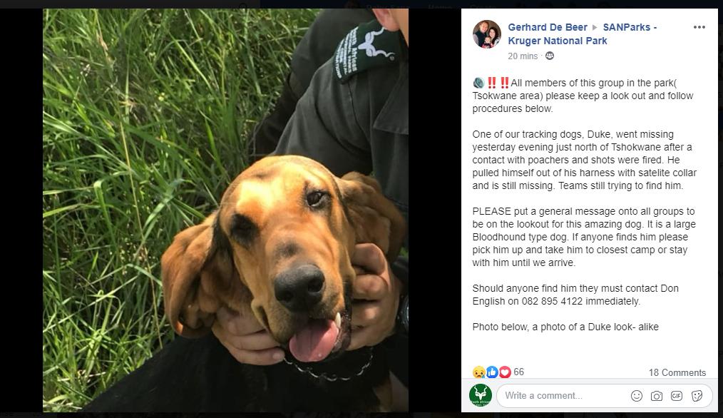 SANParksKNP's tweet photo. Please be on the look out. https://t.co/0AHYZdnceR