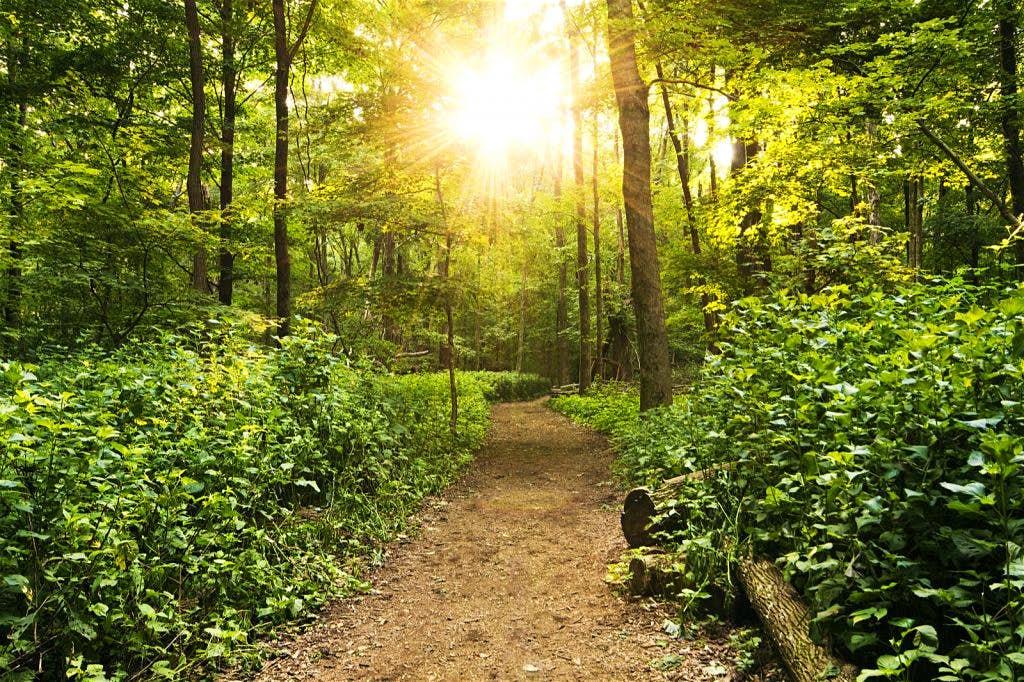 download Neue Wege bei der Herstellung