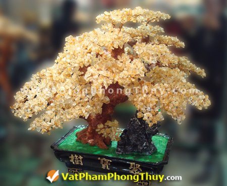 Blog Phong Thuy gồm các bài do Mr.Thắng tự viết và cả các bài chắt lọc Tổng Hợp từ nhiều nguồn khác nhau.. ự nỗ lực của tất cả thành viên do đó Blog Phong Thủy đã có những bước phát triển không ngừng. 
Tham khảo: blogphongthuycom.tumblr.com