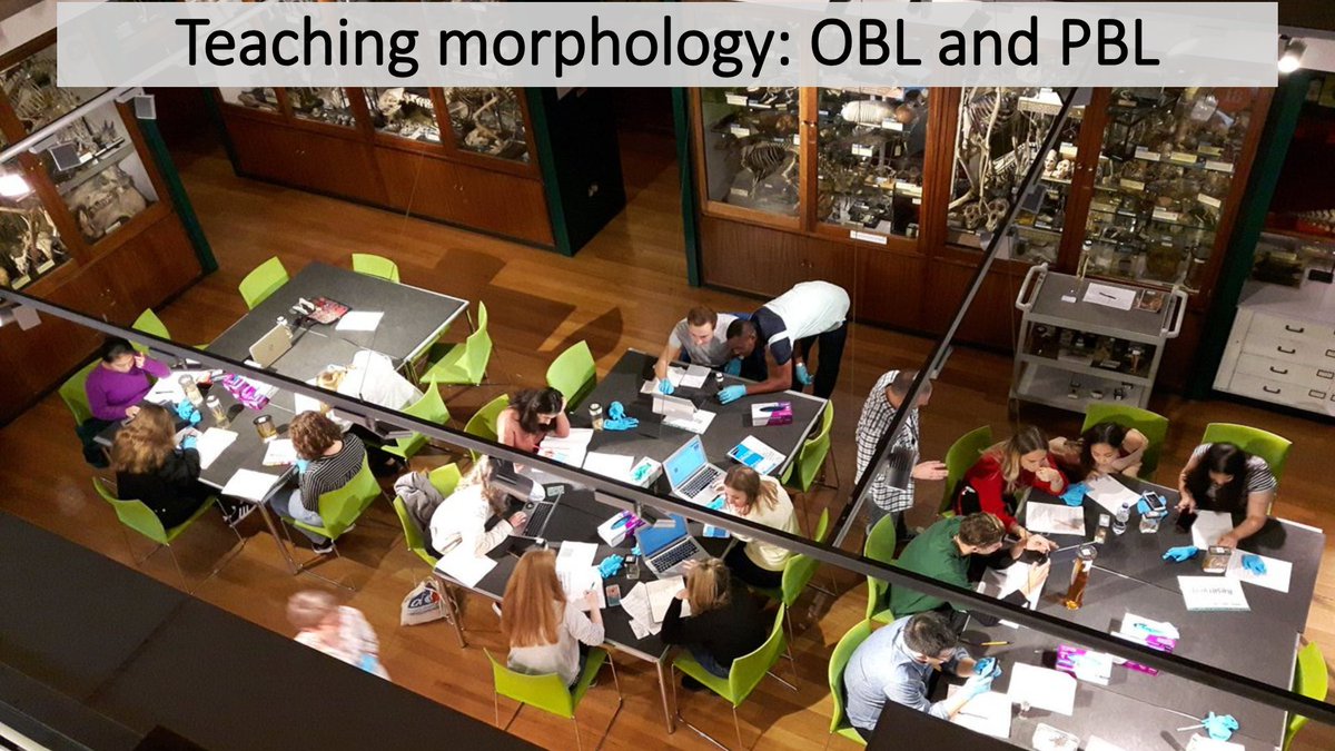 JackDAshby's tweet image. The wonders of #ObjectBasedLearning, and how and why we trained students in #PublicEngagement at the same time as teaching anatomy. I'll be talking in the Education session at #ICVM19 today, with learning from @GrantMuseum (partic @h_chatterjee) and @ZoologyMuseum. #icvm19EDU