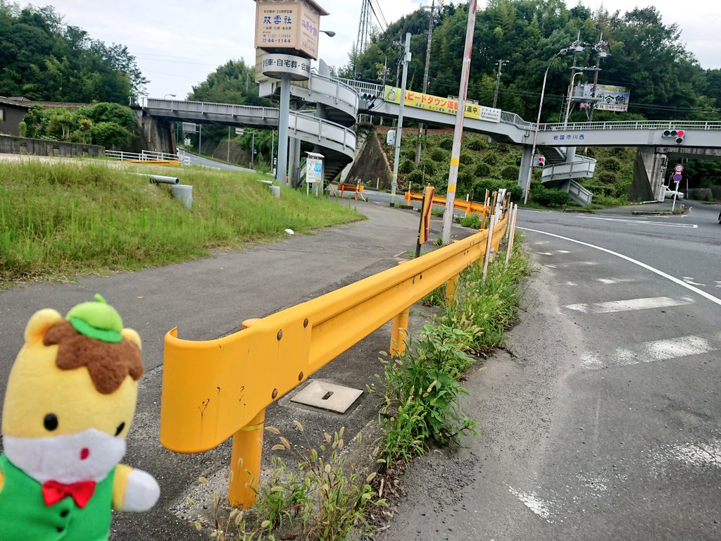 電書ポン太 群馬謎解き党 Sur Twitter 山口県名物 オレンジ色のガードレール 1963年の山口国体の際 県が管轄する道路のガードレールが 特産で県の花でもある夏みかんの色に塗られた 同県岩国市にて撮影