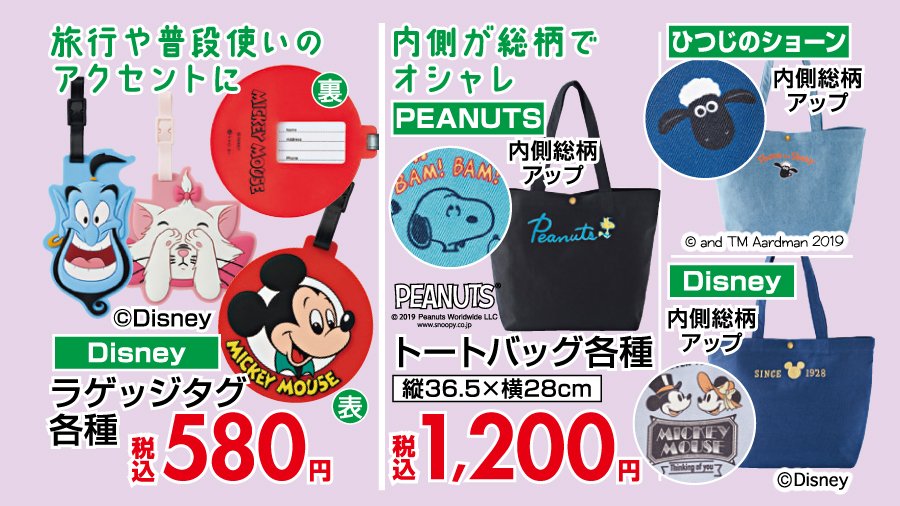 ⛰夏のお出かけをもっと楽しく🏝／ 旅行に便利✈️ 普段使いのワン