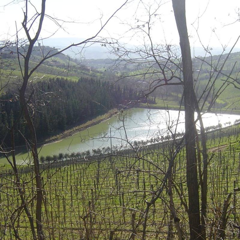 Una regione, tanti vini abruzzocamping.it/it/enogastrono…