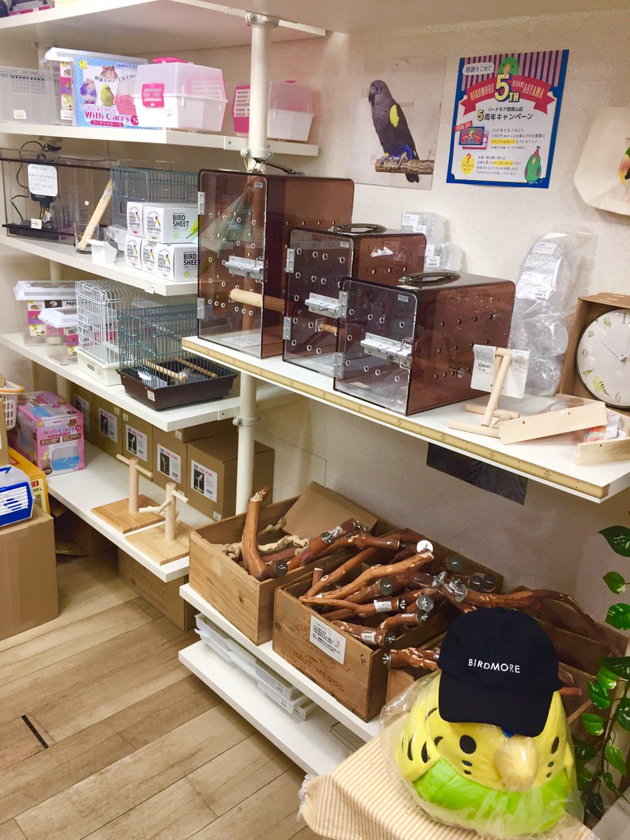 飼鳥専門店バードモア 南青山店 Get The Best Bird Supplies At Birdmore Located In Aoyama Find Quality Food Toys Plus Everything You Need For Your Feathered Friends Or Even Art Products As