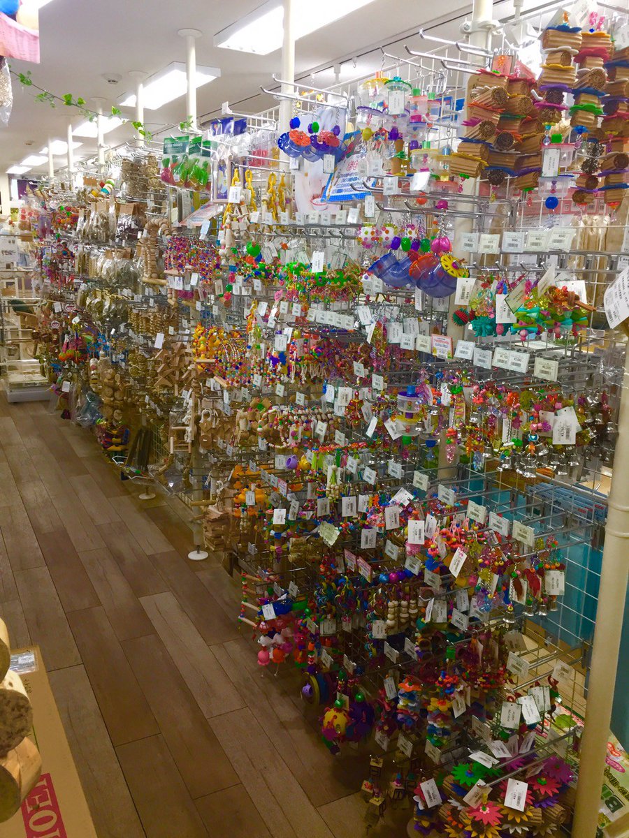 飼鳥専門店バードモア 南青山店 Get The Best Bird Supplies At Birdmore Located In Aoyama Find Quality Food Toys Plus Everything You Need For Your Feathered Friends Or Even Art Products As