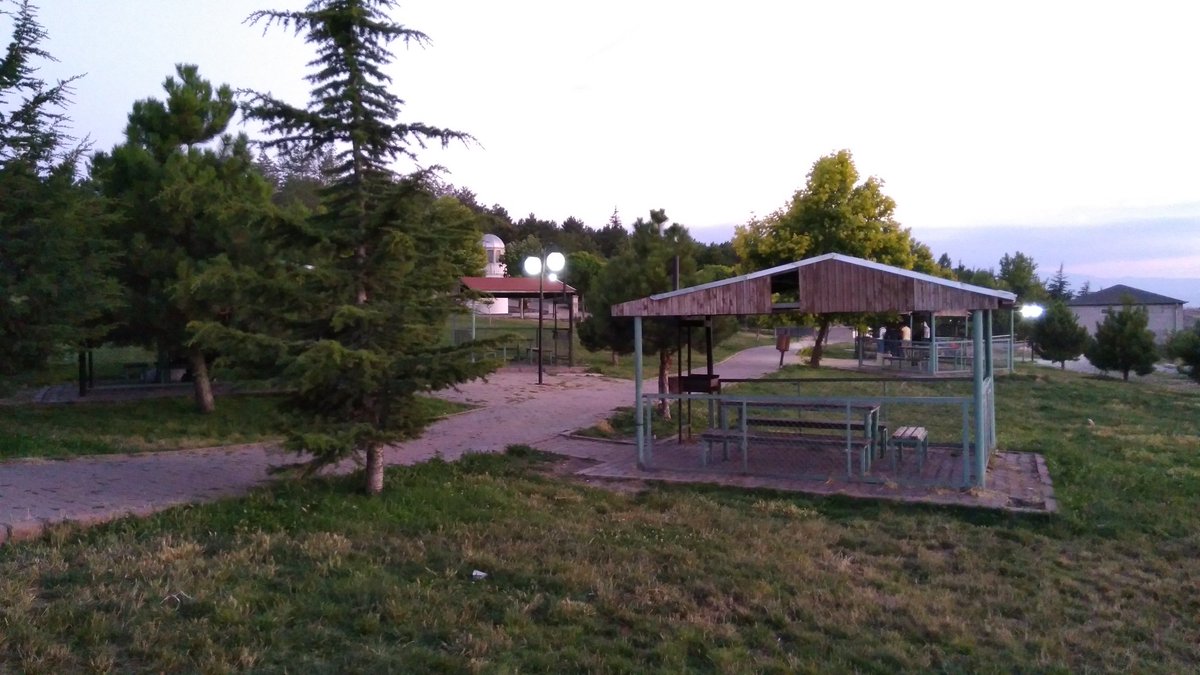 Günaydın Dedikya..