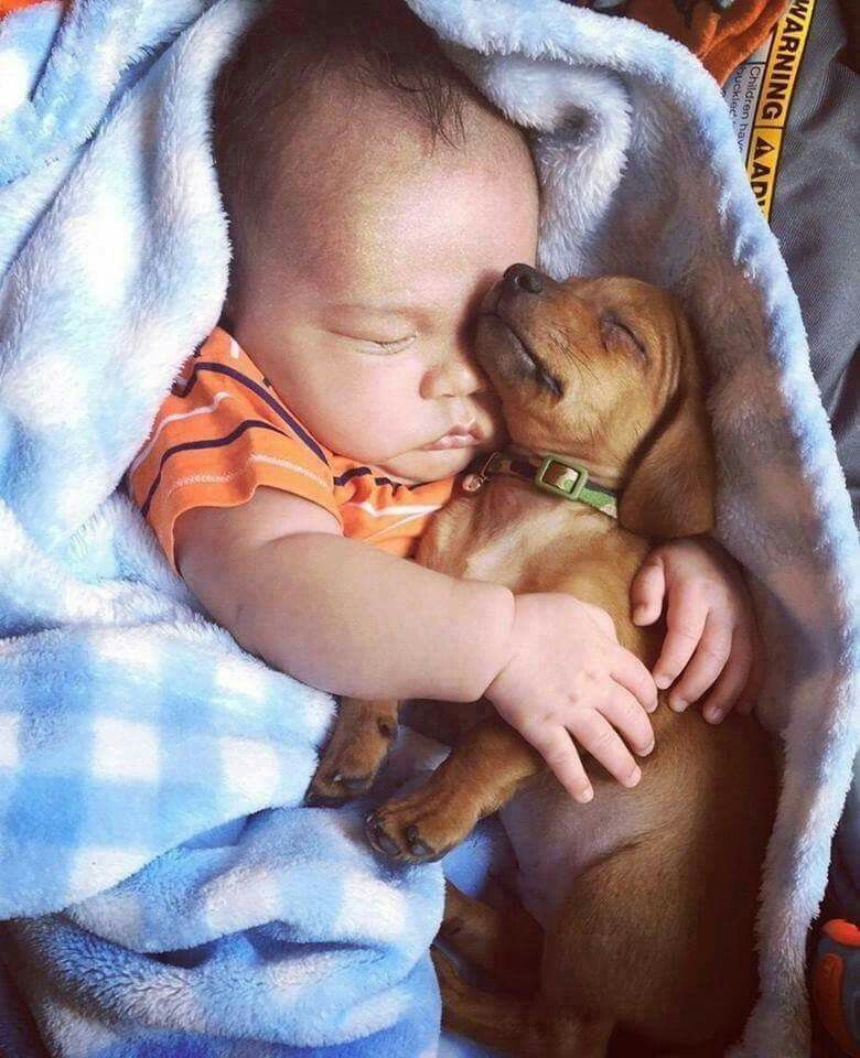 #GoodNight everybody!🌸👋🏼😴🌸

#cute #puppy #baby #sleeping