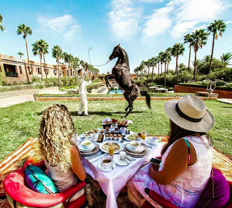 horsealot's tweet photo. LE MAROC, TERRE DE CHEVAL

L’hôtel @SelmanMarrakech est unique. L’artiste Sadek El Bahjaoui y propose des concepts originaux aux clients de l’hôtel, comme des dîners dans les écuries, de la relaxation à cheval, ou des séances en liberté avec de ses propres chevaux de spectacle. https://t.co/9RRKWTMlm9
