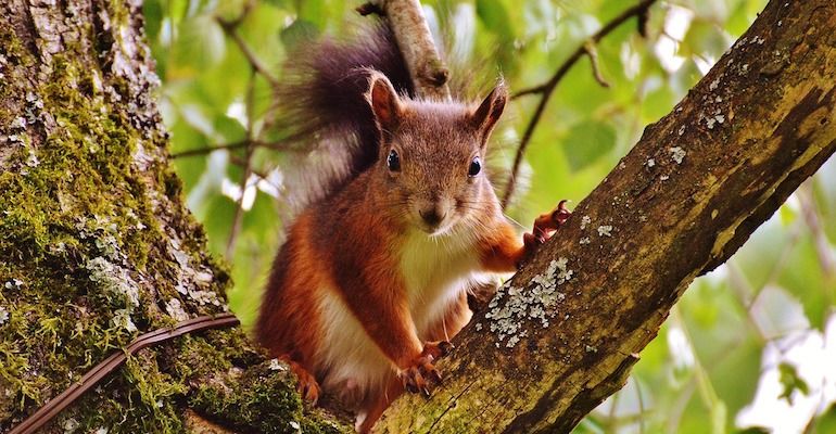 The Non-Recruiters Guide To Hiring Terms.
Check out these typical recruitment terms and their meanings below... buff.ly/2JKTmM5

#hr #recruiters #recruitmentprocess #recruitment  #talentaquisition
#talentretention