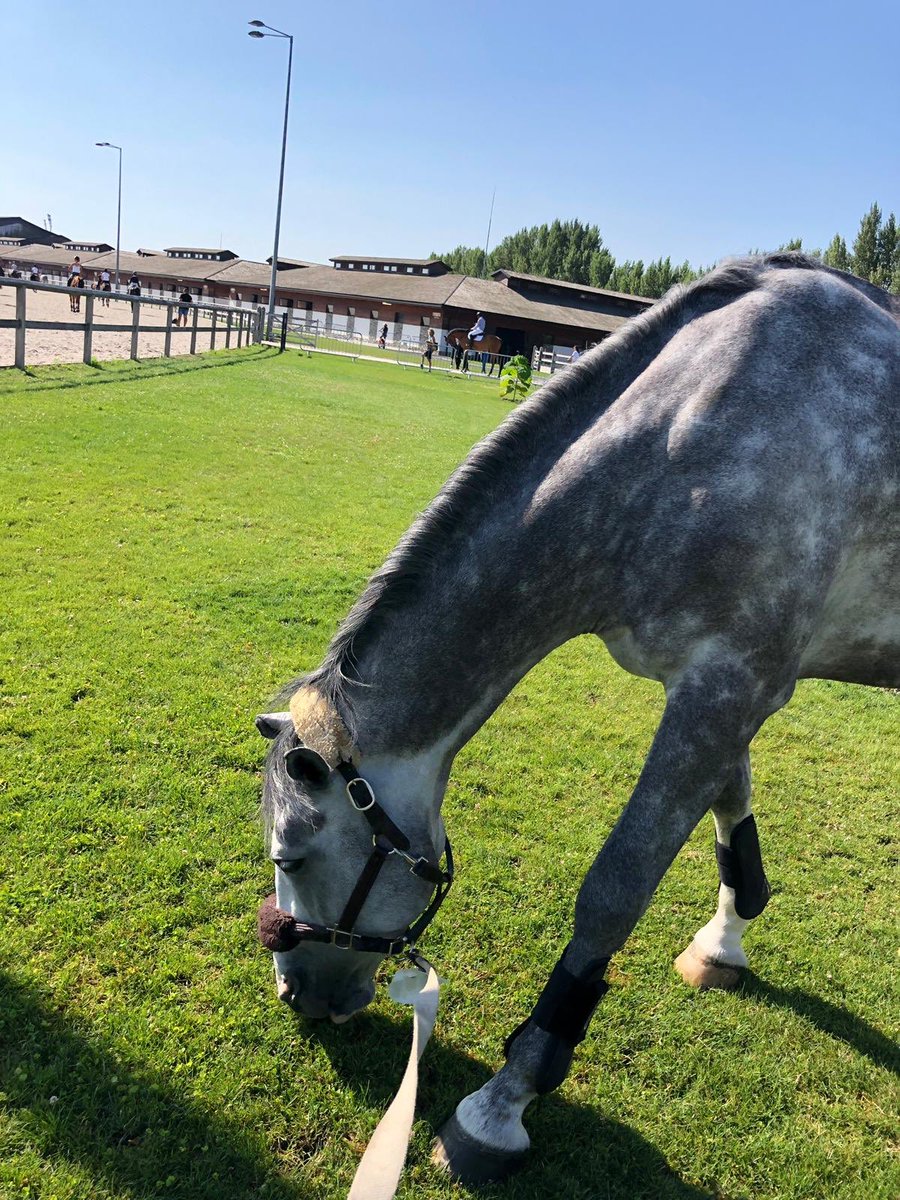 GeodeColigny's tweet image. On profite de la fraîcheur matinale avec #BillClinton 💦 @xbionicsphere