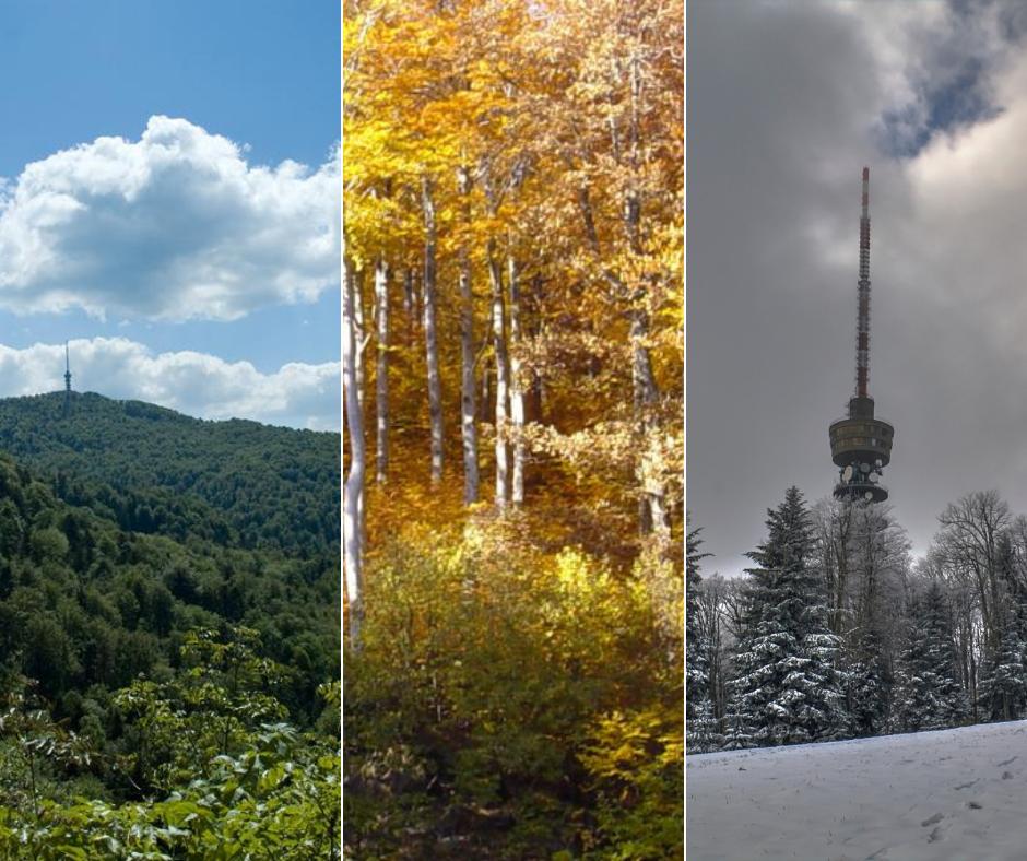 The climate of Medvednica differs from the lowland:
☔ it has more rainfall
🌡 temperatures are on average lower
🌨 there is more snow in the winter.

We can find a pleasant refreshment in Medvednica in the summer, and escape from the lowland mist in the winter.

#Medvednica
