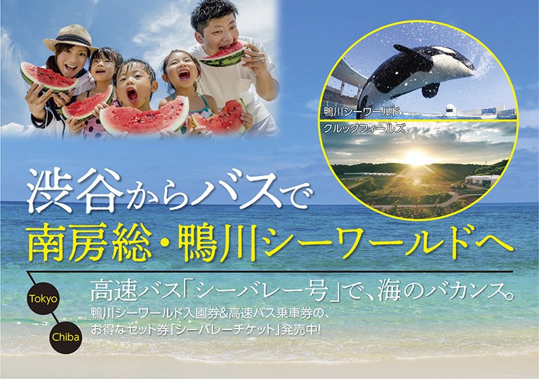 東急バス株式会社 公式 この夏 渋谷 二子玉川 から高速バスで南房総 安房鴨川 へお出かけしませんか 海水浴場やマリンスポーツ 鴨川シーワールドなど楽しめるスポットがたくさん ご家族やお友達との夏の想い出づくりに 快適でお得な高速 バスを是非