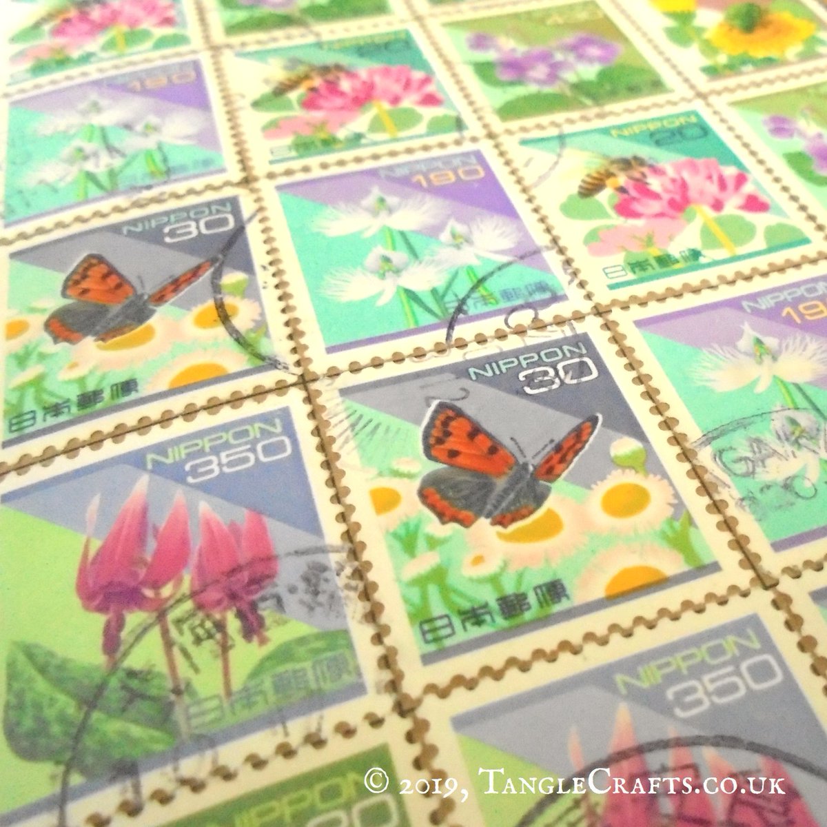 TangleCrafts's tweet photo. Japanese #stamps really lend themselves to striking design arrangements! This new addition to my 'stamp album' #notebook range features #flowers, #butterflies & #bees - perfect for garden or travel notes https://t.co/PTgw8N6mxR #recyclednotebook #upcycledstamps #japanesestamps https://t.co/4dIC2QWljF