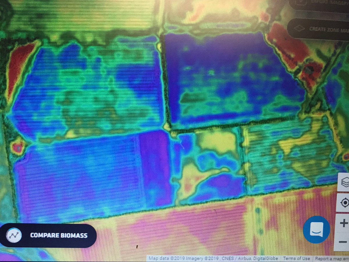 Canola block at home on the slide in places due to wet stress..after what was our best strike in years. Ave yield taken a big hit now given the damage patches of no yield do 😤🙄 #iwantperfection #moresurveying