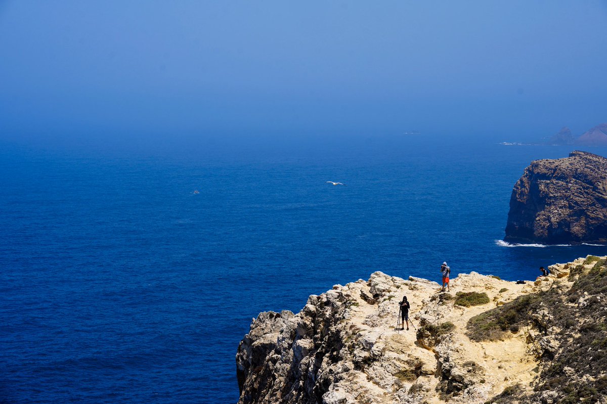 𝙼𝚊𝚞𝚛𝚘 𝙵𝚞𝚎𝚗𝚝𝚎𝚜 tweet media