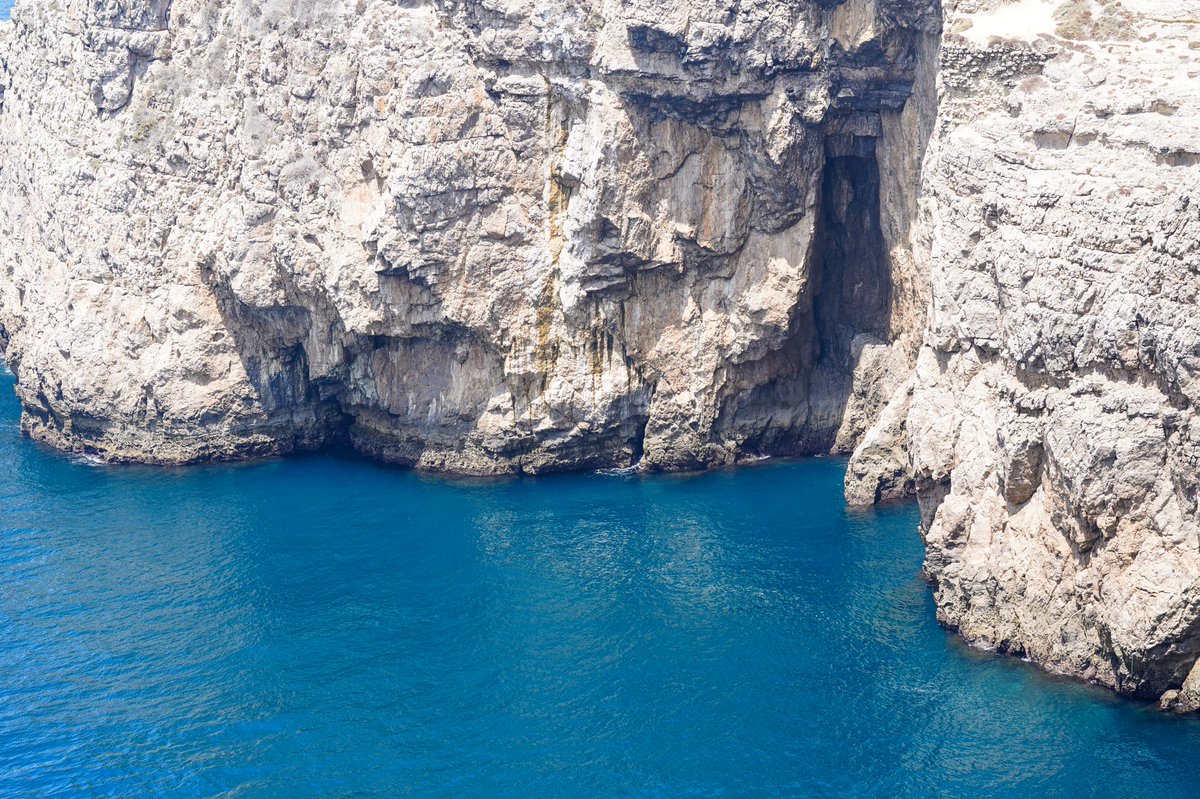 𝙼𝚊𝚞𝚛𝚘 𝙵𝚞𝚎𝚗𝚝𝚎𝚜 tweet media