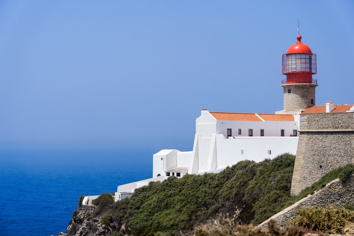 𝙼𝚊𝚞𝚛𝚘 𝙵𝚞𝚎𝚗𝚝𝚎𝚜 tweet media