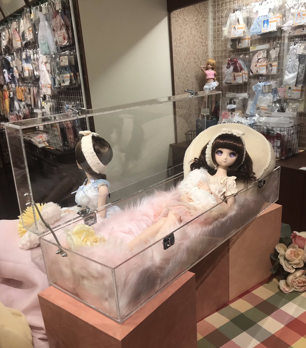 ☆ドール用 ケース【鳥籠Ver.】アクリルケース、DD、ドルフィー、1/3
