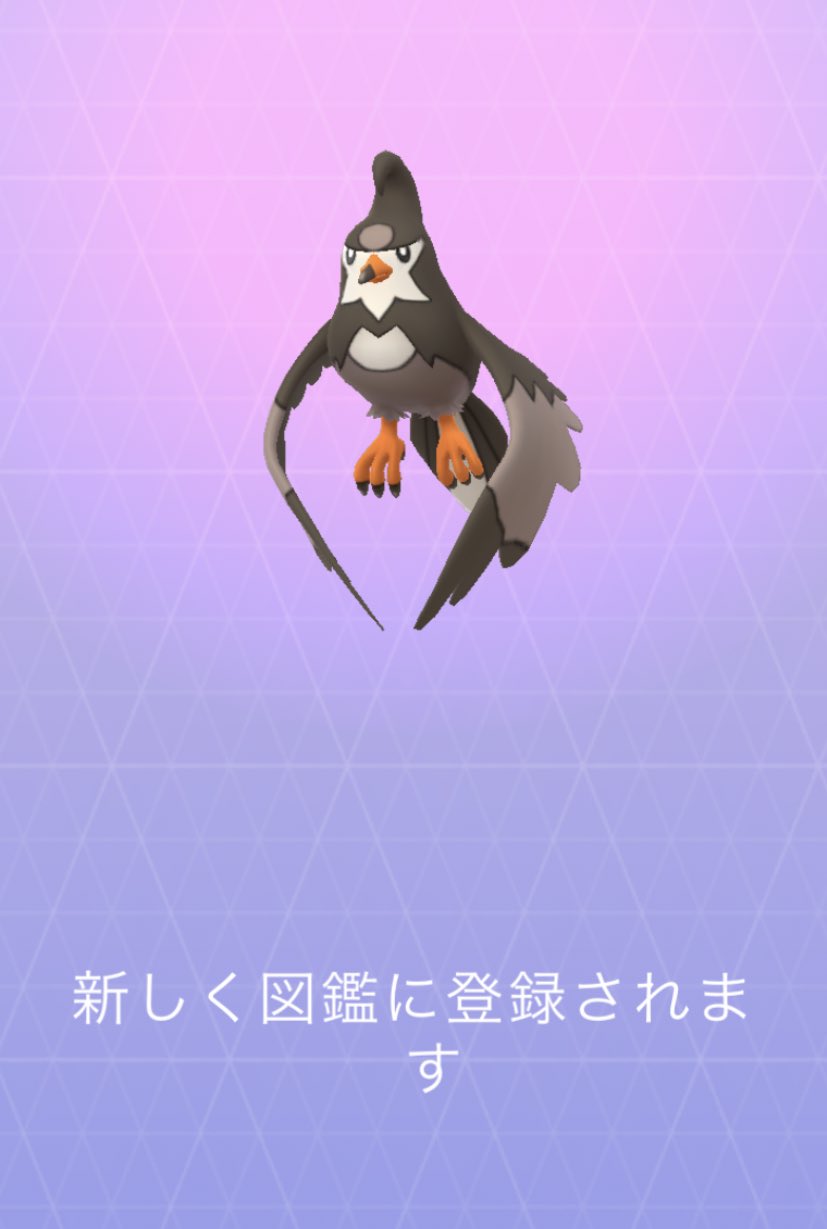 Sakura Ouka 大好きなムックルをムクホークまで進化させました カッコいい ポケモンgo ムクホーク スタバ新作