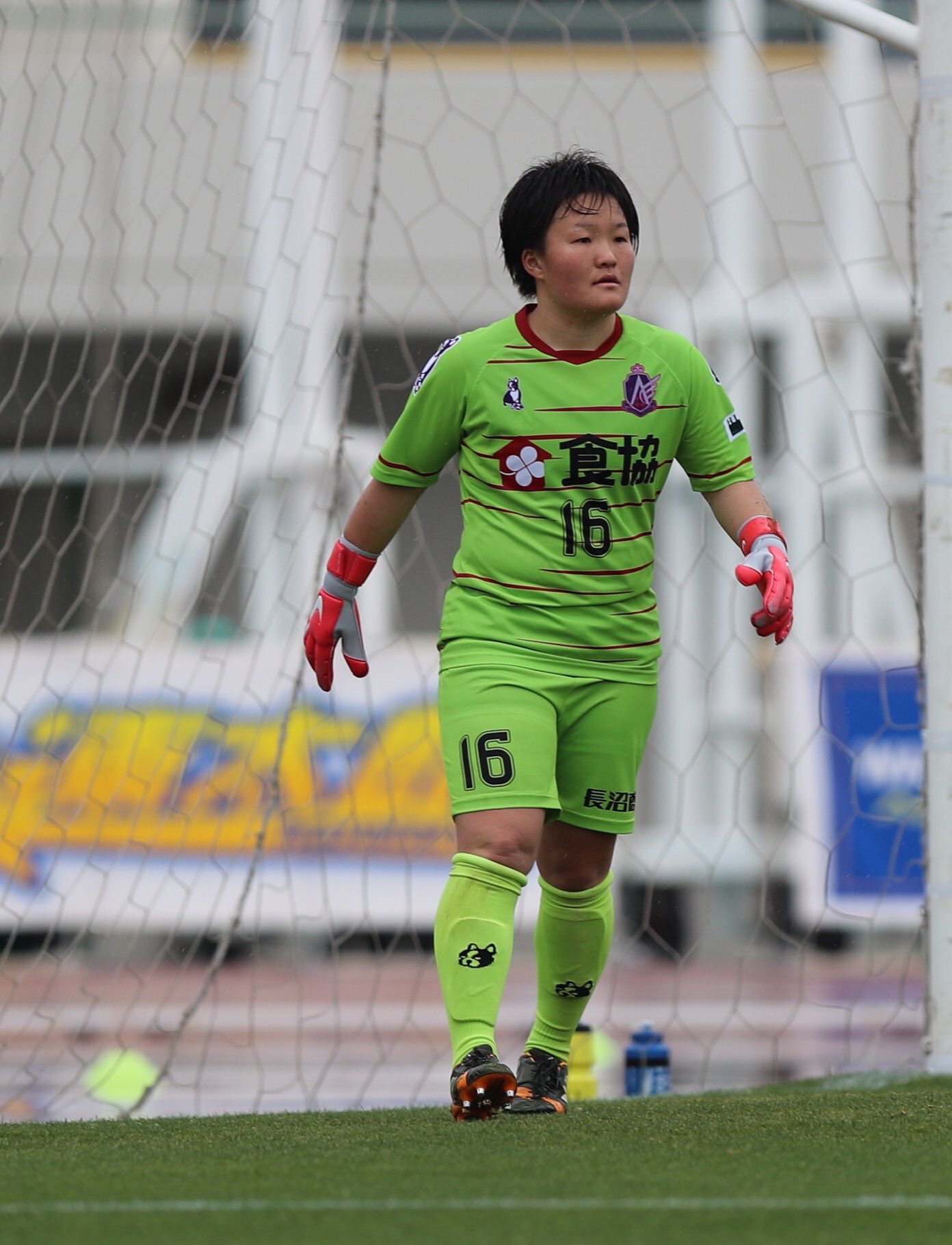 公式 アンジュヴィオレ広島 Twitter पर 本日7月24日は背番号16番 Gk田中選手の誕生日です おめでとうございます T Co Hp8ozg8r4w Twitter