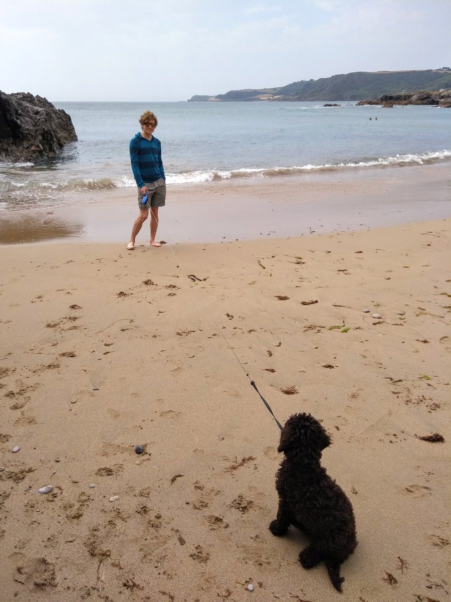 Caroline_Clason's tweet image. Islay enjoyed her first trip to a proper sandy beach yesterday! Work to be done on coaxing her into the water though... (and yes, this is in Devon, the part of the UK I'm lucky enough to call home!) 😊 #devonisheaven #southwestisbest #academicswithdogs #WorkLifeBalance