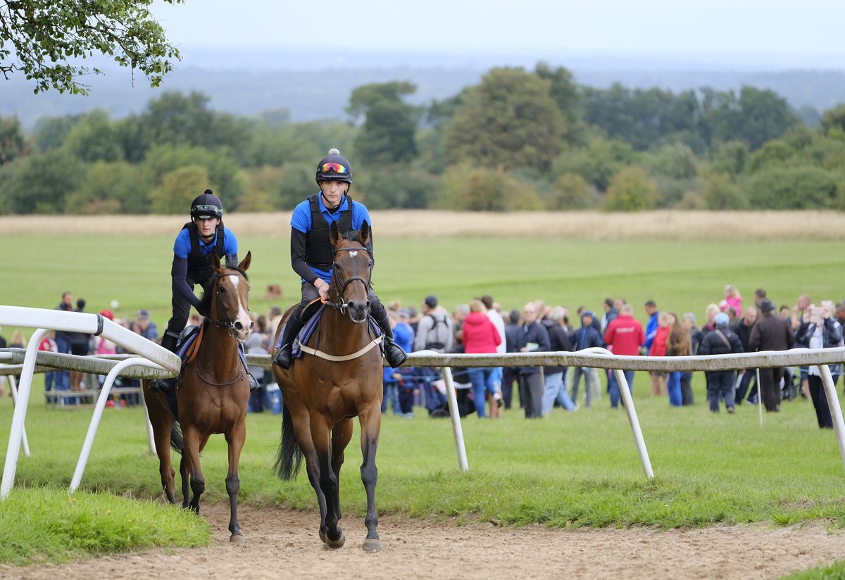 The Adventure Family Fun Day on Monday 26 August also hosts the Trainers Open Day in the morning before racing, giving racegoers a unique opportunity to go behind the scenes of the <a href="/Epsomgallops/">Epsom Gallops</a> yards.

Get tickets before Monday to guarantee the best price po.st/AdventureFamil…