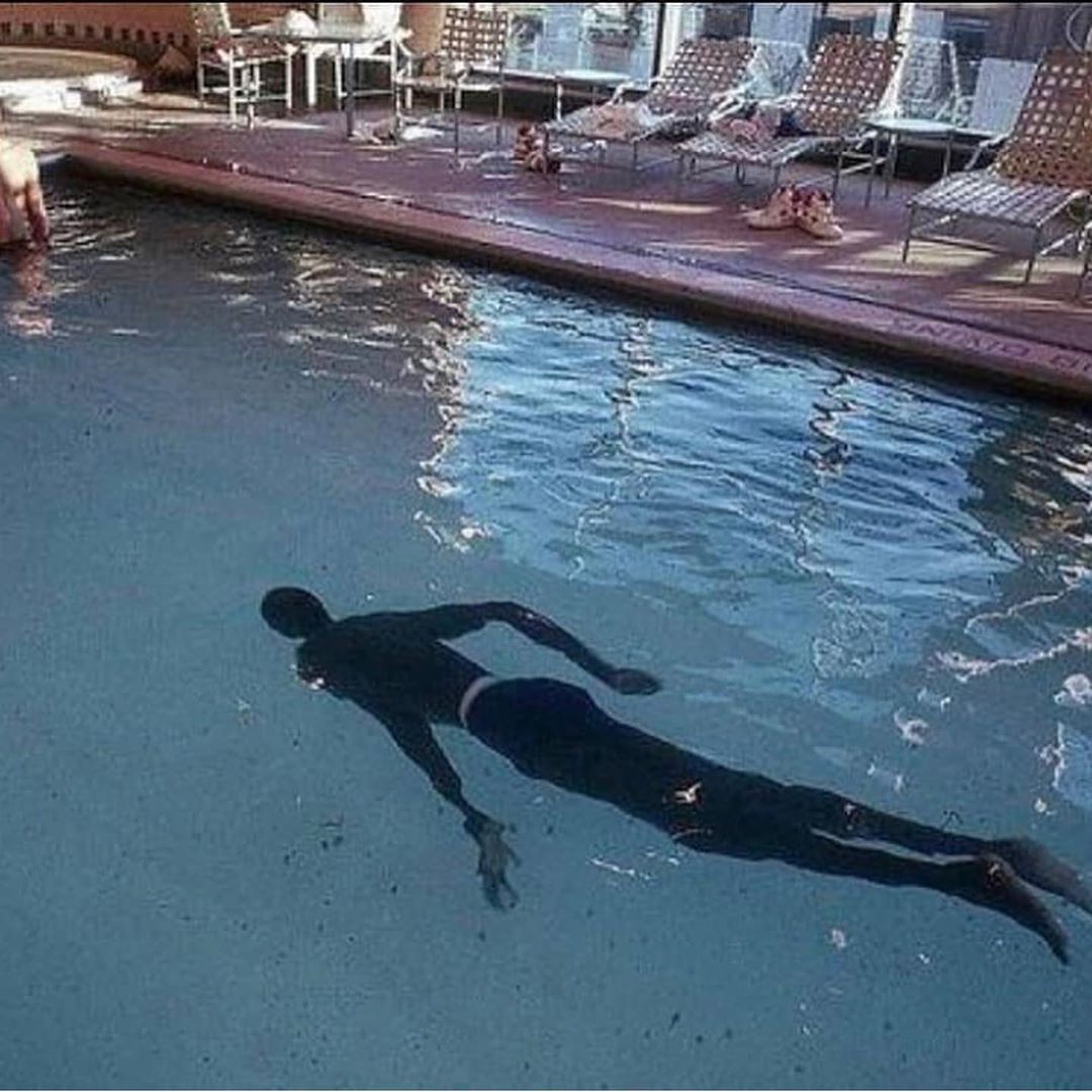 AraneaDefensor's tweet image. 