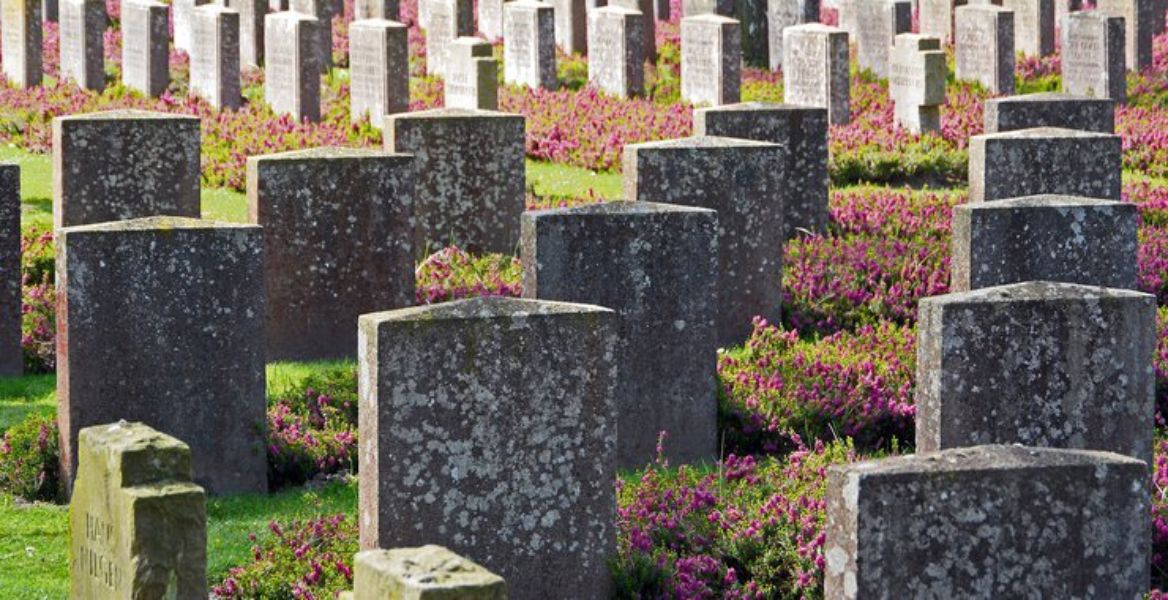 Since the beginning of crypto, thousands of projects have been abandoned or went extinct. See our top 5 list of famous "dead" altcoins and some of the reasons they failed here at coinexchangedata.com/blog/top-5-fam…
#altcoins #crypto #bitcoin #blockchain