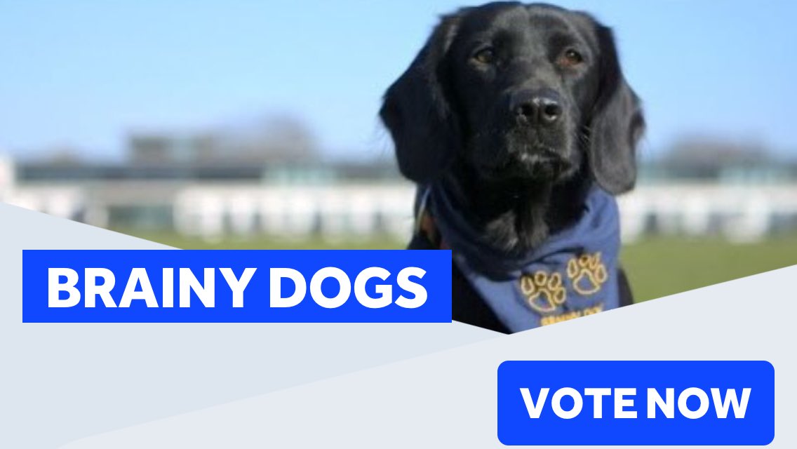 VOTE FOR BRAINY DOGS!

Our Brainy Dogs project has a chance of winning a National Lottery 25th Birthday Award, £10,000 for the project and a spot on the BBC One Show!

But we need YOUR HELP to make this happen! Simply retweet this tweet and you will cast a vote! #NLABrainyDogs