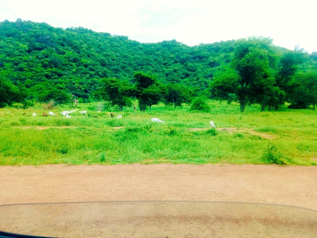 VisitSouthSudan's tweet image. Nature is pleased with simplicity, take a trip to exotic landscape of Eastern Equatoria #Torit #VisitSouthSudan                                
© @DengTorit