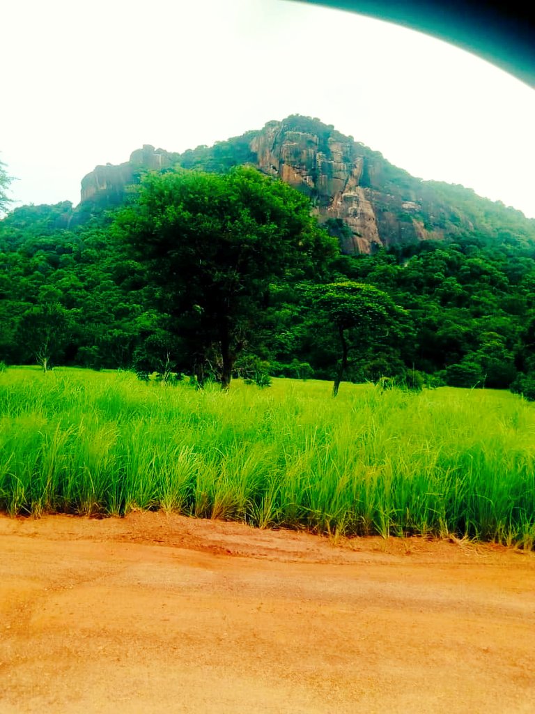 VisitSouthSudan's tweet image. Nature is pleased with simplicity, take a trip to exotic landscape of Eastern Equatoria #Torit #VisitSouthSudan                                
© @DengTorit