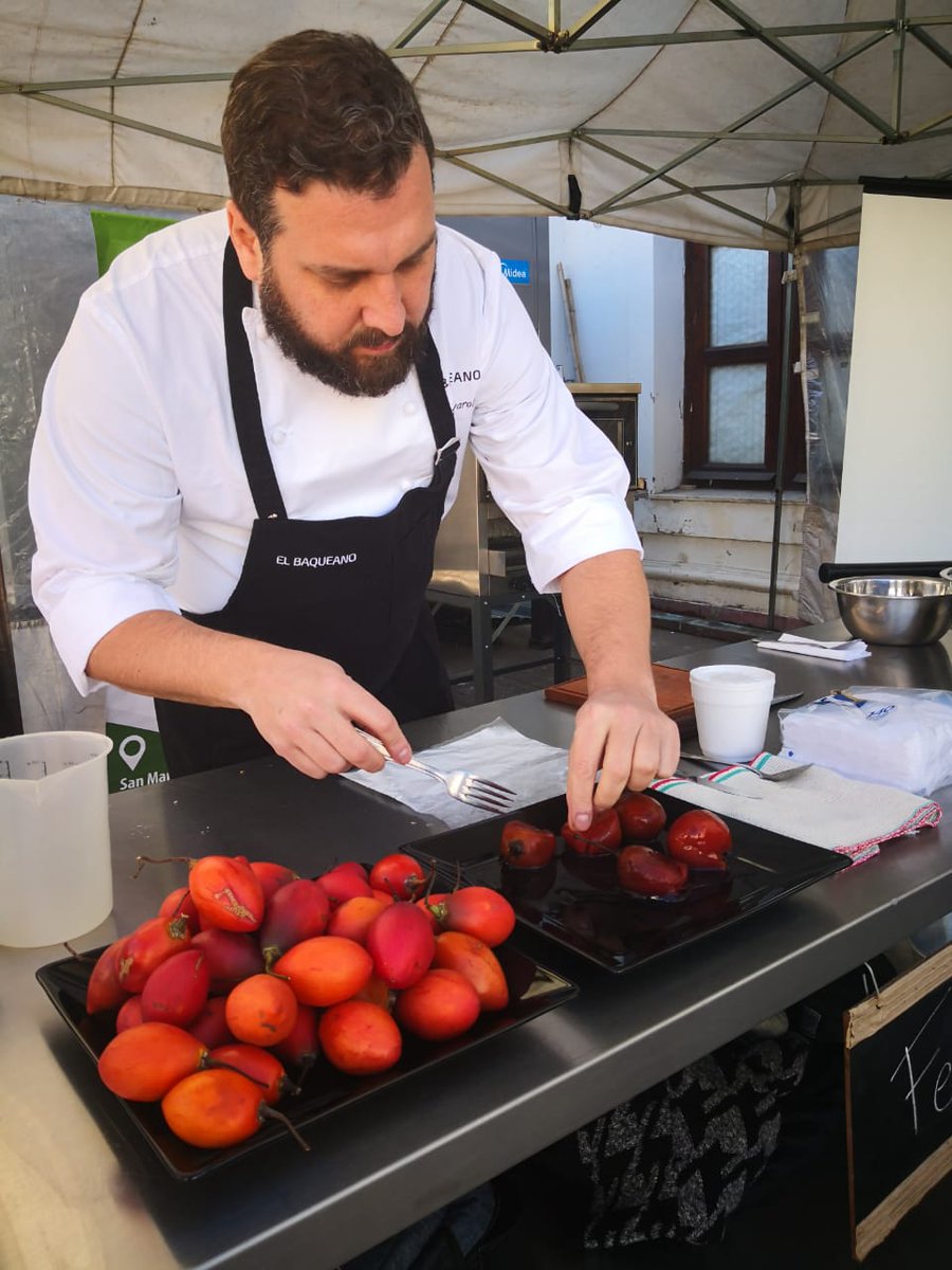 ambientejujuy's tweet photo. 🍎👏👨‍🌾👩‍🌾#CHILTO: APROVECHAMIENTO SUSTENTABLE, POTENCIAL GASTRONÓMICO Y EXPRESIÓN DE IDENTIDAD.👨🏾‍🍳👩🏽‍🍳🍎En la Feria gastronómica “Identidad y producción”, presentamos al reconocido Chef Fernando Rivarola, quien llegó a #Jujuy p/mostrar el potencial del tomate Chilto en la cocina. https://t.co/AMcJAMAXW8