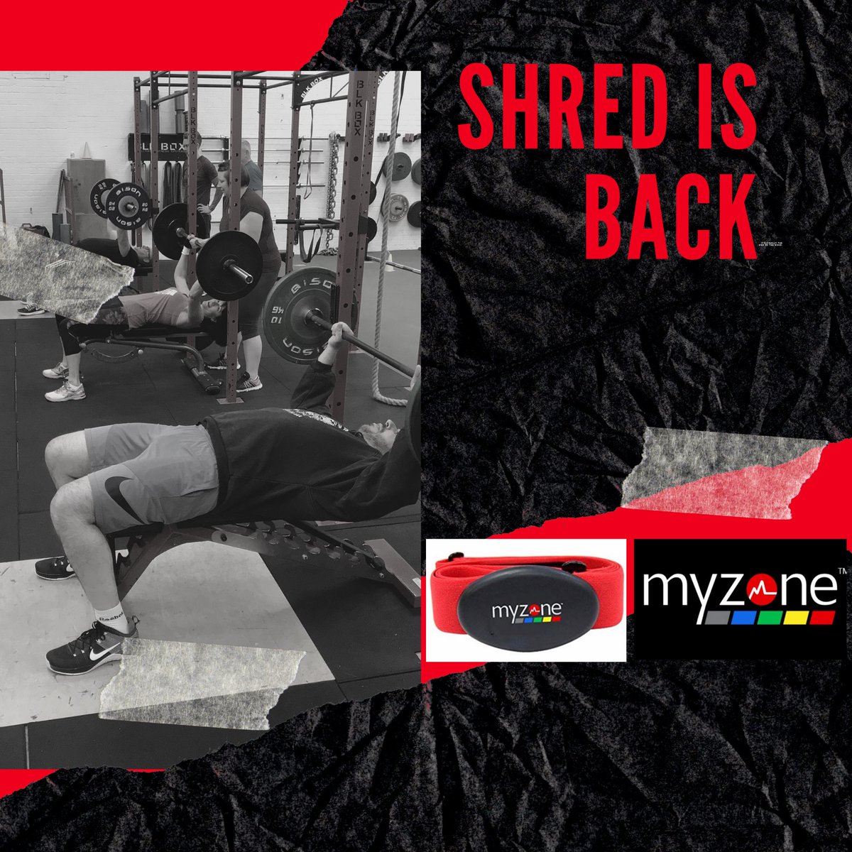 BenCooperC's tweet photo. Shred is BACK

Shred is our 3 week high intense results program. 

Ideal for short term goal or to kick start your training. 

You will train
Monday,Tues,Thurs,Fri and Sat at either 6.30am or 6.30pm choice is yours(Apart Sat)

Get in touch for further details 

#fatloss #results https://t.co/WBpbvSKlhA